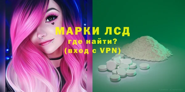 сатива Лабытнанги