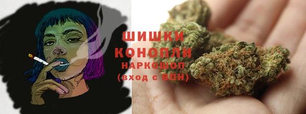 сатива Лабытнанги