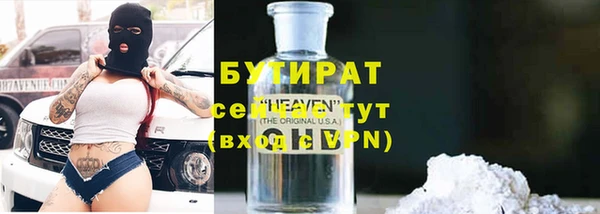 сатива Лабытнанги