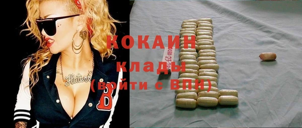 сатива Лабытнанги