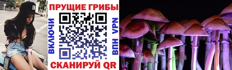 Купить  Новомосковск  Псилоцибиновые грибы ЛСД 